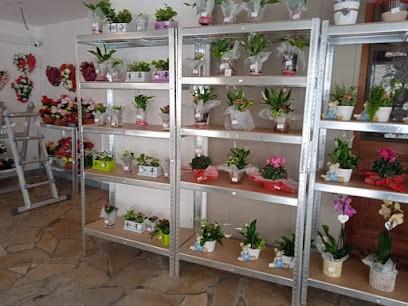 Fleurs la rosa fils, Bloemist in Colfontaine