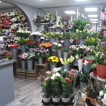 CHRYSTA FLOR, Bloemist in Charleroi