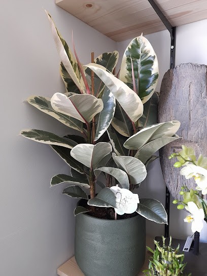 Le Fleuriste Grez-Doiceau, Bloemist in Graven